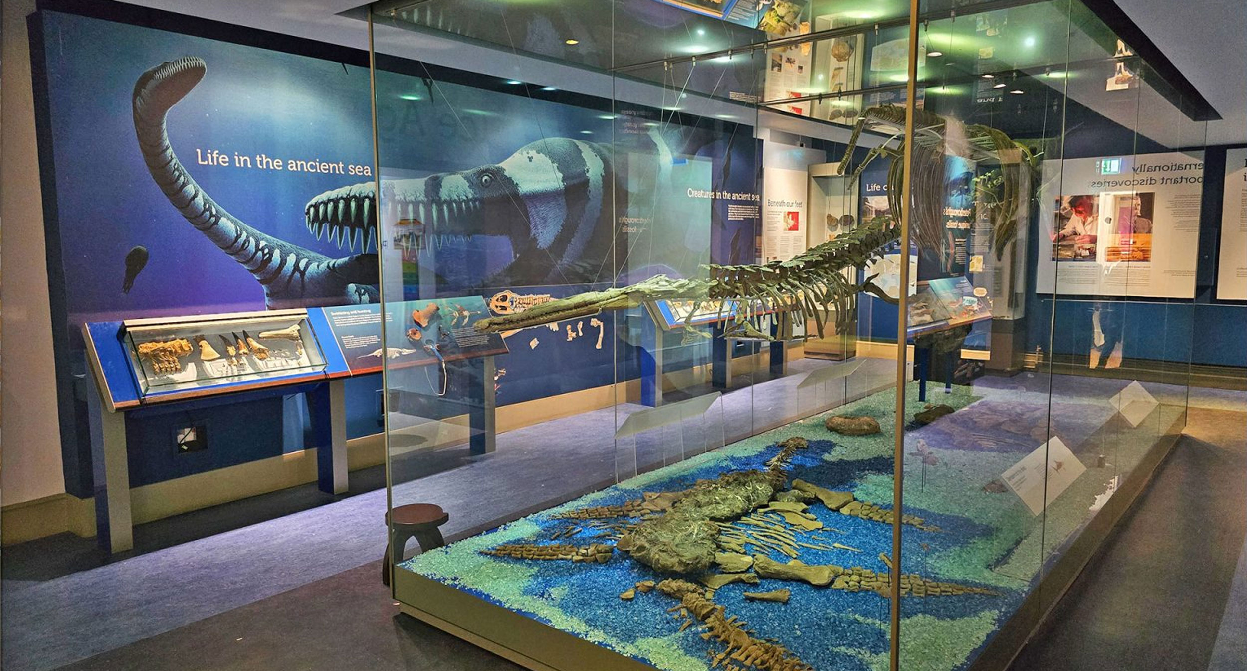 Jurassic Gallery at Peterborough Museum