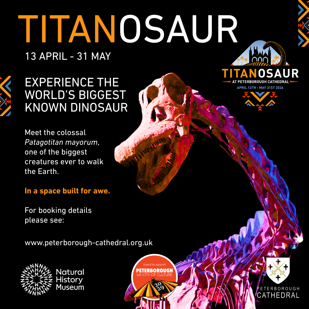 Titanosaur Peterborough Cathedral