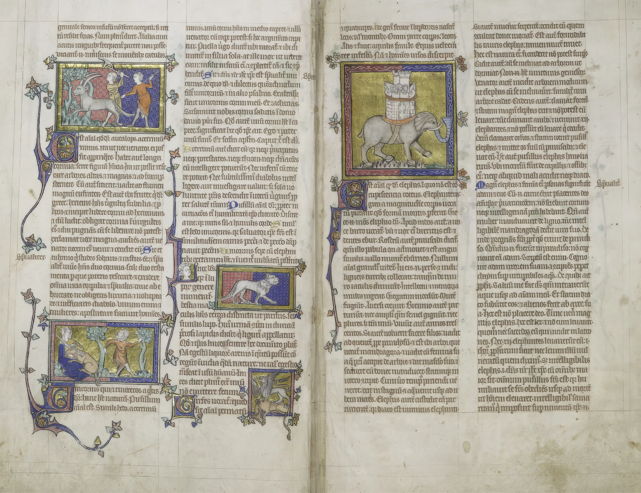 Elephant and other illuminated animals in the Peterborough Bestiary