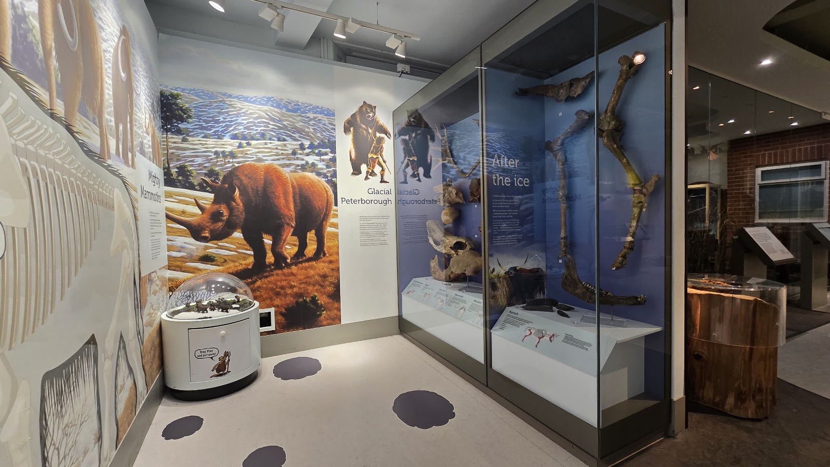 Ice Age Gallery at Peterborough Museum
