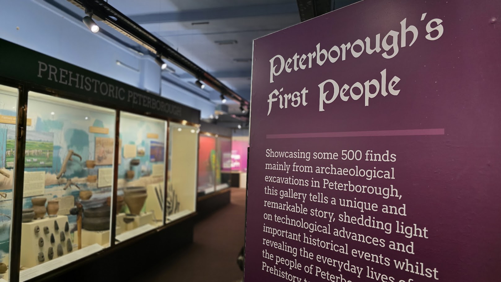 Archaeology Gallery at Peterborough Museum