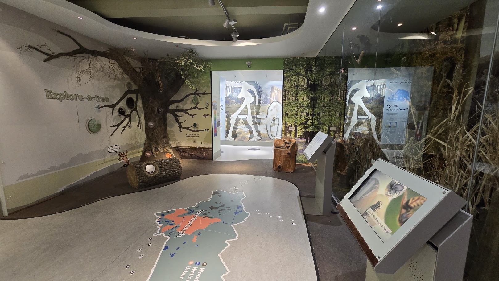 Wildlife Gallery at Peterborough Museum